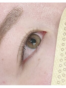 トキ(Toki)/フラットラッシュカラー 120本