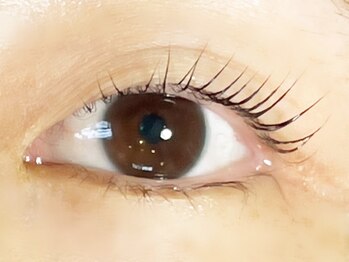 シルドラパン(cils de Lapin)/ラッシュリフトカール