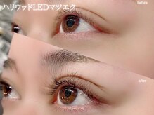 クイックアイズ セルフメイド 泉大津店(Quick Eyes SELFMADE)/ハリウッドLED 6D &nbsp;300本