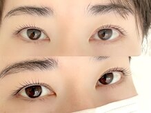 シャルフ(shalf)/