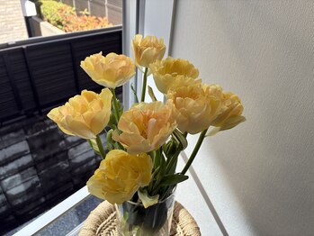 リチューン 自由が丘店(Re.tune)/チューリップ