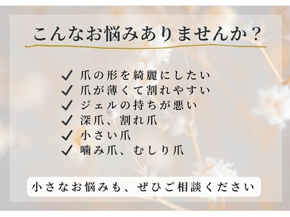 リリー(Lilly)の写真