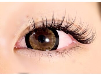 プレモ(Premo)/バインドロック80束