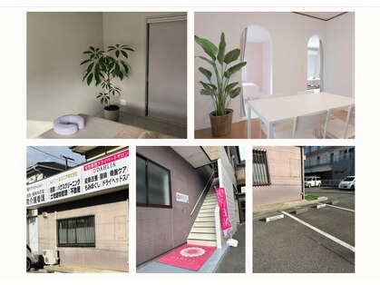 ダリア(DAHLIA)の写真