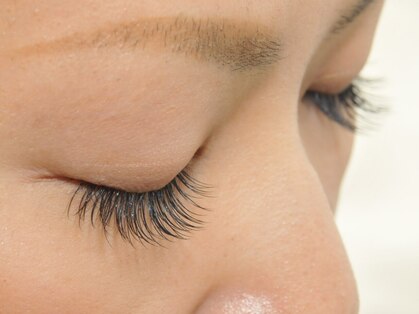 ルミア(Lumia)の写真