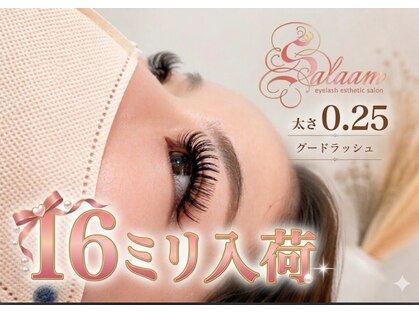 サラーム(Salaam)の写真