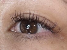 ウルカ アイラッシュ(uruka EYELASH)/フラットラッシュブラウン 140本