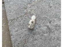 ツリーハウスネイル(tree house nail)/winter &nbsp;nail♪