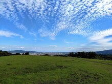 こうのせいたい/高い丘で空を見上げ海を見下ろす