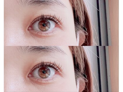 ニッコヤ(nikkoya)の写真