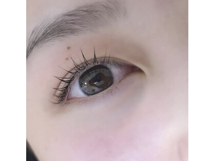 ネマウム(nemaum)の写真