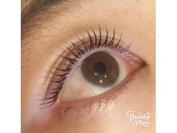 プリマ(PRIMA)/まつ毛パーマ