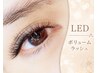 【再来】 LEDエクステ☆ ボリューム360本 ¥9500