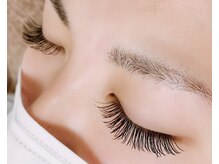 セレンディピティ(Serendipity)/フラットラッシュ　200本