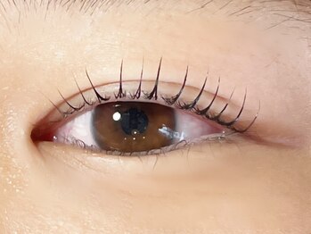 シルドラパン(cils de Lapin)/ラッシュリフトカール