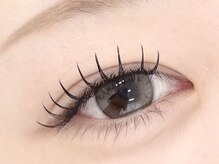 チェミール(CHEMIR)/フラットラッシュ100本