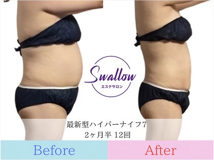 スワロウ(swallow)の写真