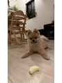 フォーユーフィットネス(for you fitness) 我が家の愛犬「じんぺい」です!