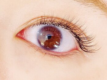 イーエヌトリップ(en.trip)/フラットラッシュ140本