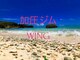 ウイング(WING)の写真