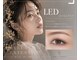 アイラッシュサロン バイ サリーエミリー(eyelash salon by SallyEmiry)の写真