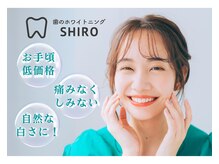 シロ(SHIRO)