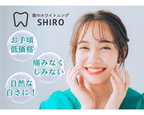 シロ(SHIRO)