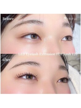 スウィートアイズ(Sweet eyes)/LEDフラットラッシュ120本
