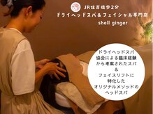シェルジンジャー(shell ginger)
