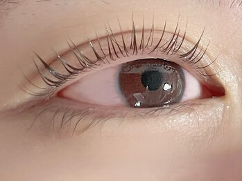 アーリア 赤羽店(arya)の写真/【丁寧なカウンセリング＆リペア】お手頃で自然美な目元を実現！お客様のご希望とお悩みに寄り添った施術◎