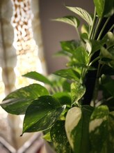 リブラ(Libra)/心身の不調を筋肉をほぐして改善