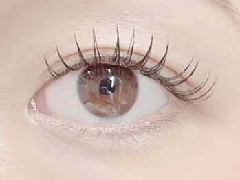 エイミーアイラッシュ 川崎(Aimey eyelash)/【フラットラッシュ120本】川崎