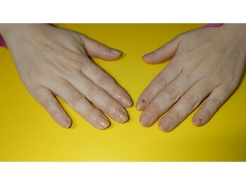 ちゅるんワンカラー