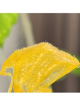 アンティエの写真/5月は1年でも紫外線が強い季節！今こそフェイシャルワックスで紫外線対策を！