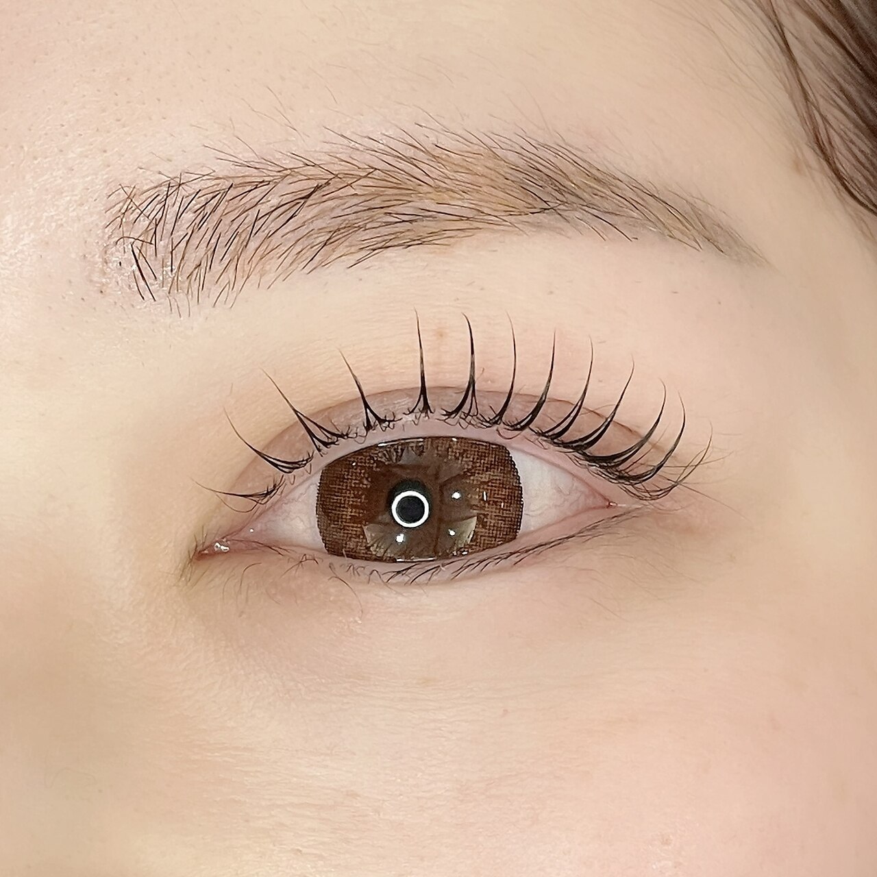 似合わせまつげパーマ【アイシャンプー＆コーティング付き】　\6,000⇒\4,500