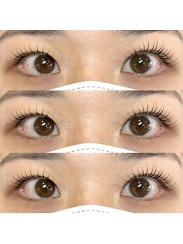 フィービー(pheebe)/lash lift(まつ毛パーマ)