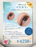 シークレット初夏【6月限定】パリジェンヌマスカラティント9350円→4750円