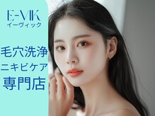 イーヴィック シジョウホリカワ(E-Vik Shijo Horikawa)