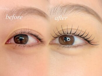 ノマン(Knoman)/フラットラッシュ100本×まつパ