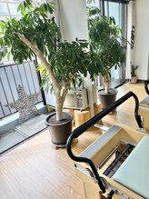 ライフ ピラティス スタジオ(LIFE Pilates Studio)/マンションの4階隠れてます