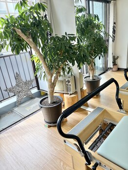 ライフ ピラティス スタジオ(LIFE Pilates Studio)/マンションの4階隠れてます