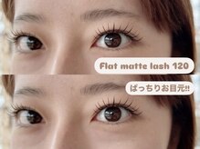 エクラ(Eclat)/フラットマットラッシュ120本