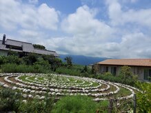 アマナプラーナ(Amana Praana)/生命のエネルギー【プラーナ】