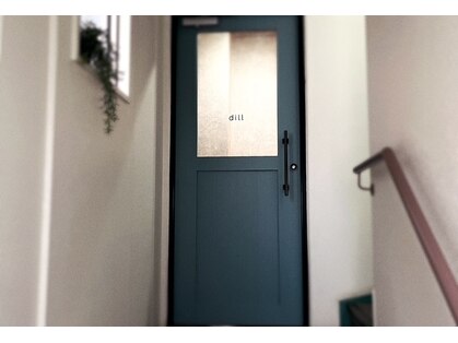 ディル(dill)の写真