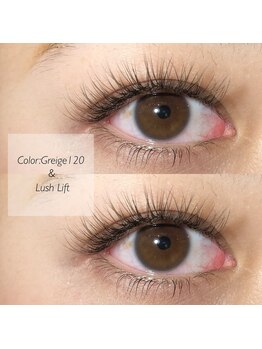 ロイ 心斎橋(Roy)/カラー120本