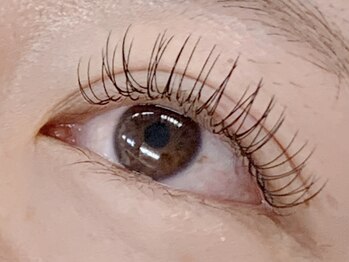 リル バイ ファンドット(Lil by Fan.)/【キュート】フラット120本