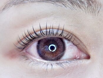 ミニョン 堺東店/似合わせまつげパーマ