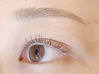 エイルアイ(Aile eye)の写真/＼即日垢抜け旬顔へ／眉WAX＆スタイリング×まつげのお手入れで垢抜け♪新しい自分に出会えます◎