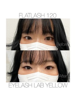 アイラッシュラボ イエロー(eyelash lab yellow)/