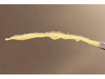 アピュルテ(A purete')/【白玉WAX後の産毛や角質】